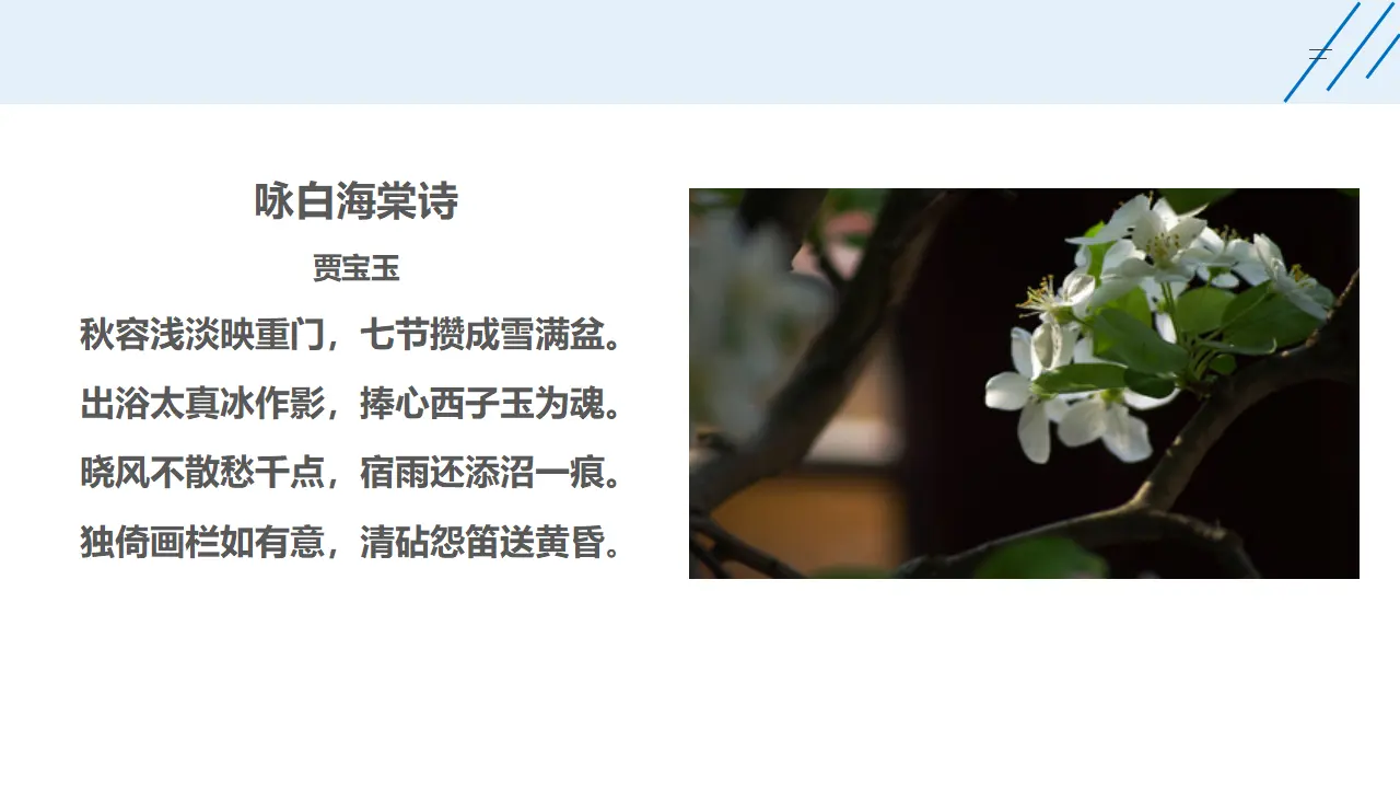 《红楼梦》整本书阅读7：专题研讨：欣赏小说人物创作的诗词（教学课件）_03.webp