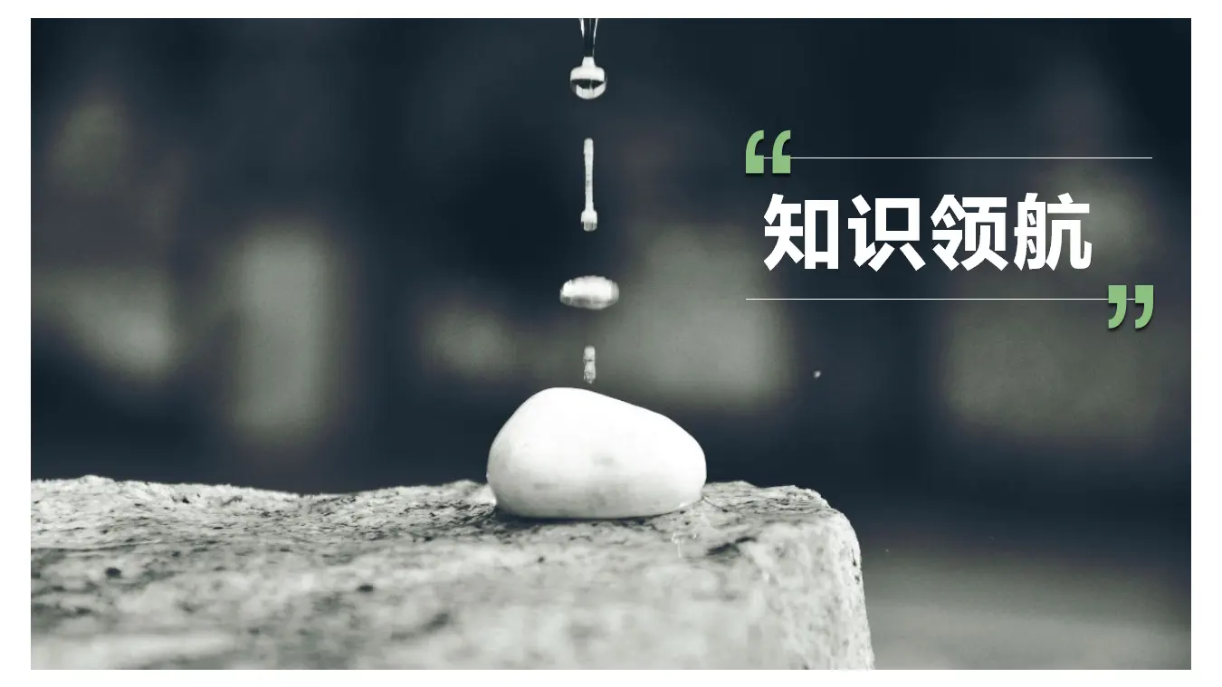 《学写综述》（教学课件）_04.webp