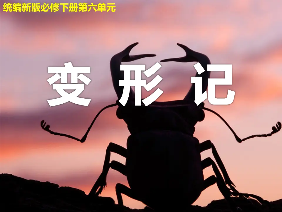 《变形记》（教学课件）_01.webp