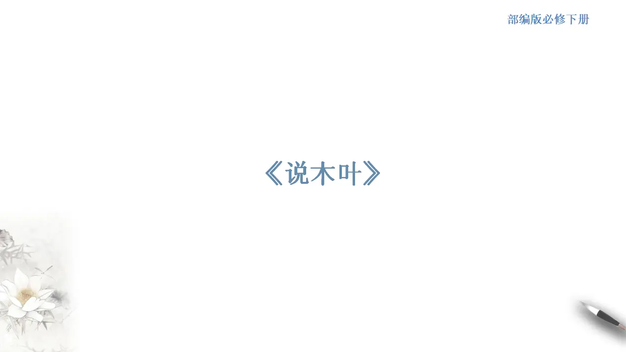 《说“木叶”》课件（2）共31张PPT_01.webp