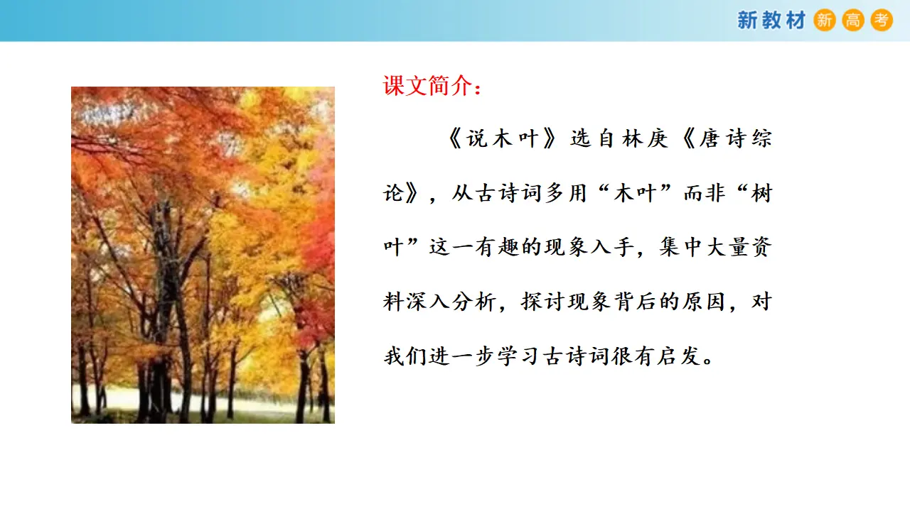 《说“木叶”》课件（2）共31张PPT_02.webp
