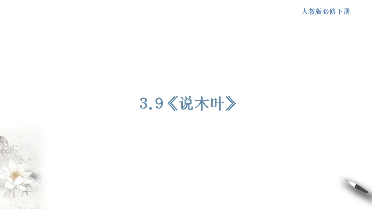 《说“木叶”》课件（1）共42张PPT_01.webp