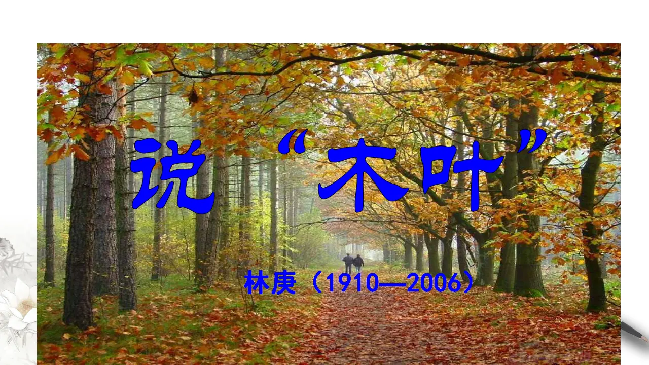 《说“木叶”》课件（1）共42张PPT_03.webp