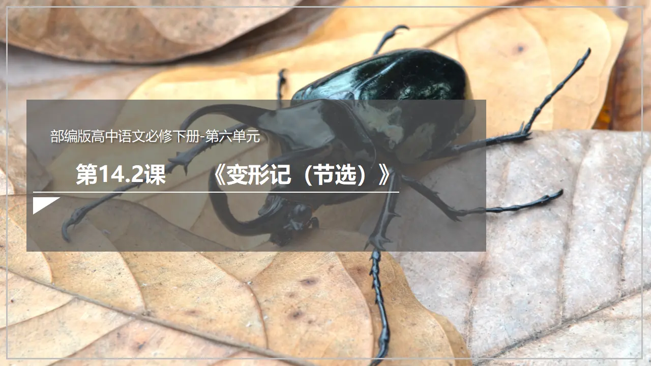 《变形记（节选）》（课件）_02.webp