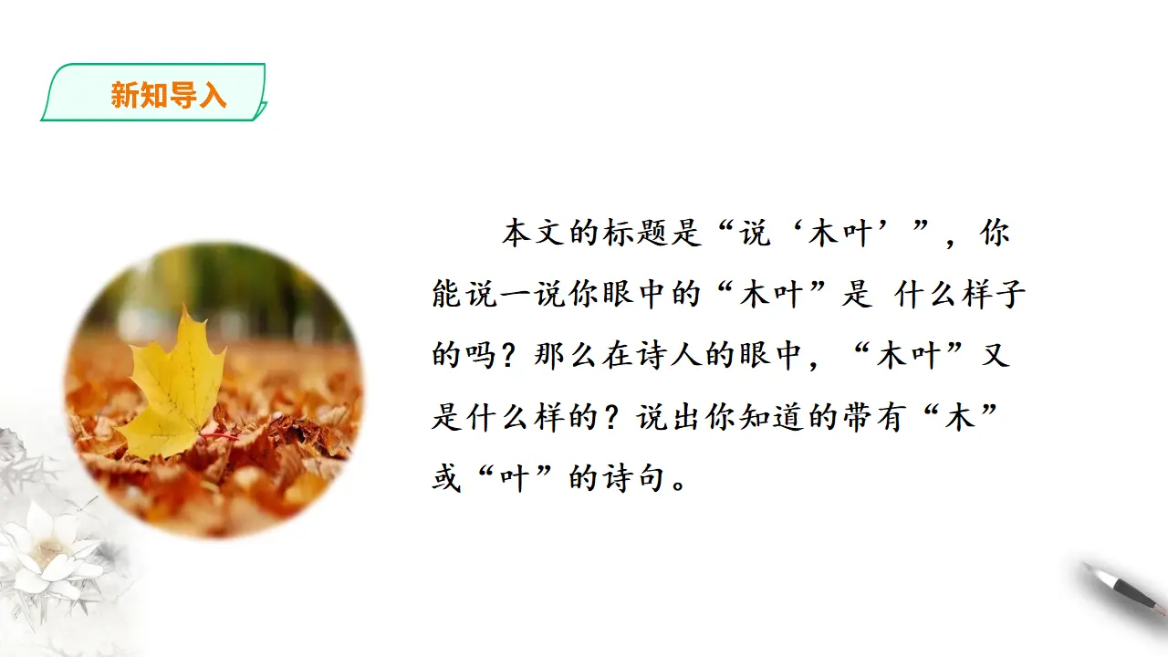 说木叶第一课时_02.webp