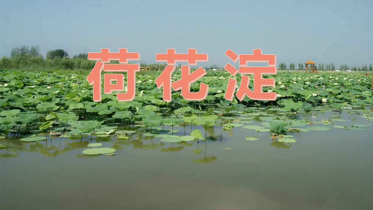 【特级教师课堂】《荷花淀》（教学课件）高中语文选择性必修中册同步教学 （统编新版）_01.webp
