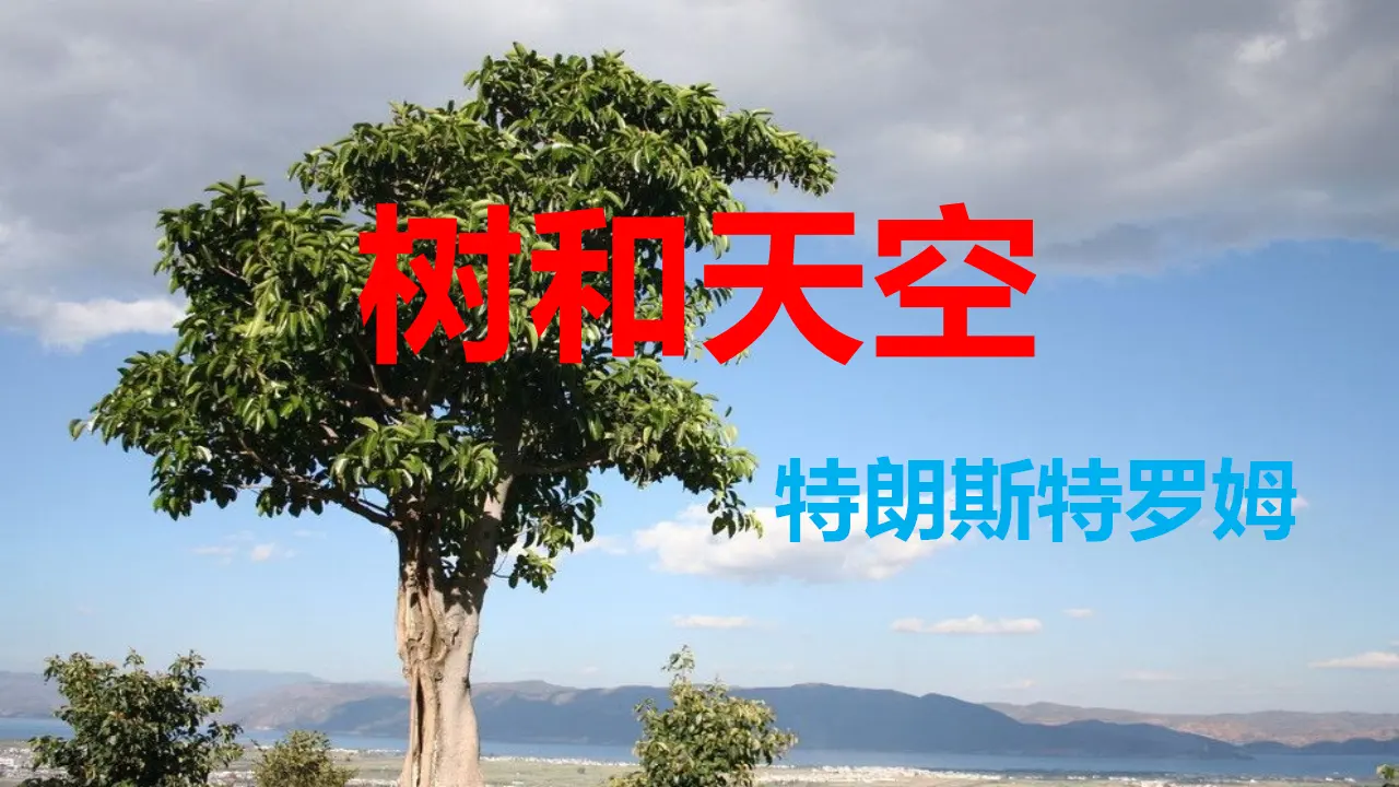 【特级教师课堂】《树和天空》（教学课件）高中语文选择性必修中册同步教学 （统编新版）_01.webp