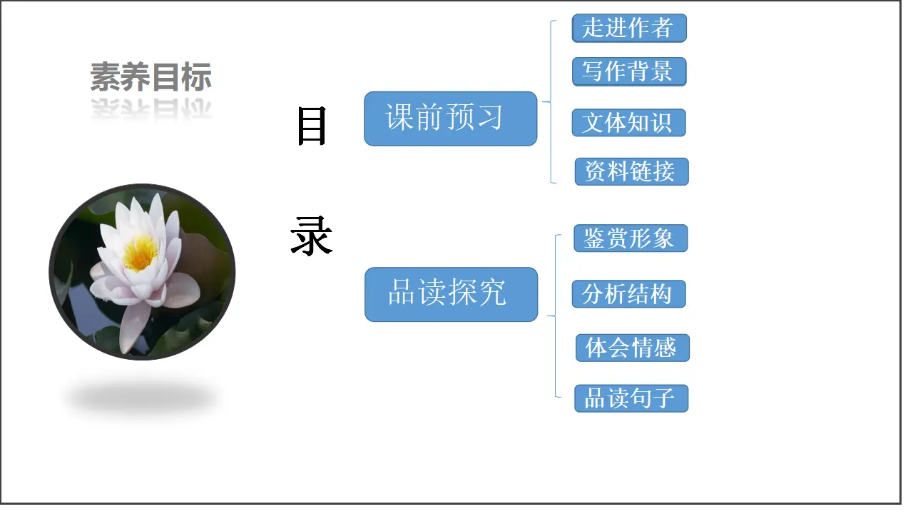 第06课  记念刘和珍君（课件）-2020-2021学年高二语文随堂教学案（选择性必修中册）_04.webp