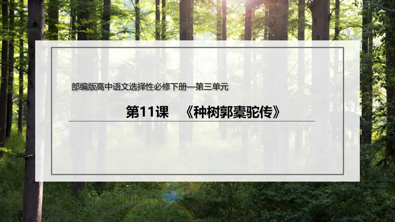 11《种树郭橐驼传》（课件）-2020-2021学年高二语文新教材同步备课（部编版选择性必修下册）_02.webp