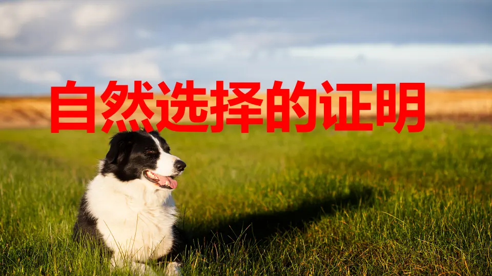 【精品教学】《自然选择的证明》（教学课件）-2020-2021学年高二语文同步教学 统编版选择性必修下_01.webp