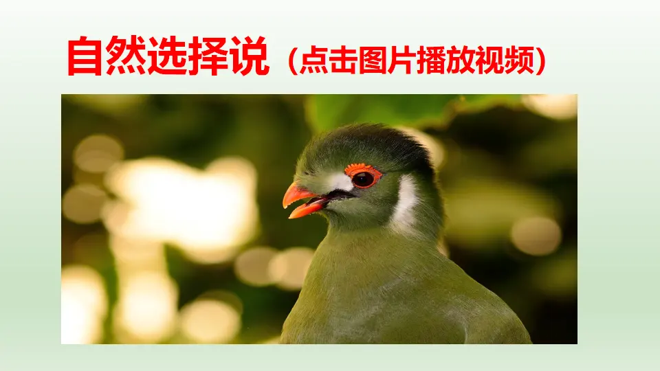 【精品教学】《自然选择的证明》（教学课件）-2020-2021学年高二语文同步教学 统编版选择性必修下_02.webp