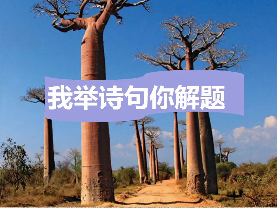 【精品教学】《种树郭橐驼传》（教学课件）-2020-2021学年高二语文同步教学 统编版选择性必修下_02.webp