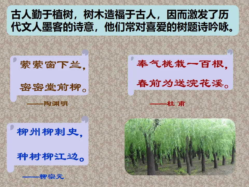 【精品教学】《种树郭橐驼传》（教学课件）-2020-2021学年高二语文同步教学 统编版选择性必修下_03.webp