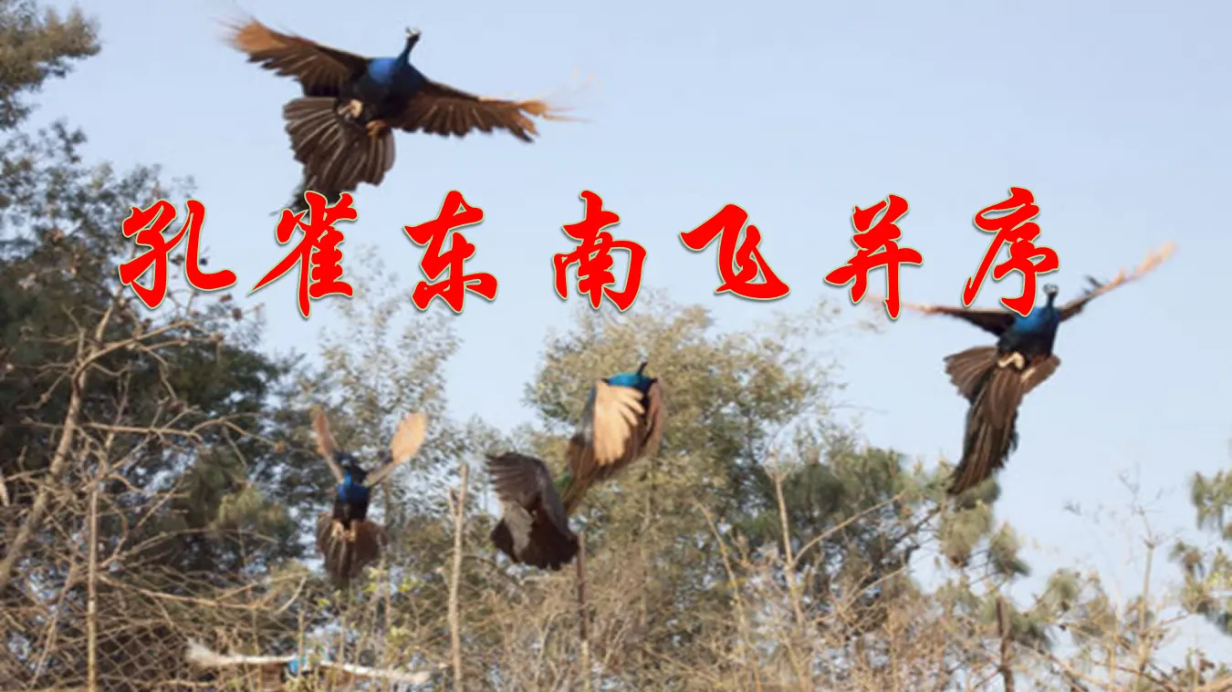 【精品教学】《孔雀东南飞并序》（教学课件）-2019-2020学年高二语文同步教学 统编版选择性必修下_01.webp
