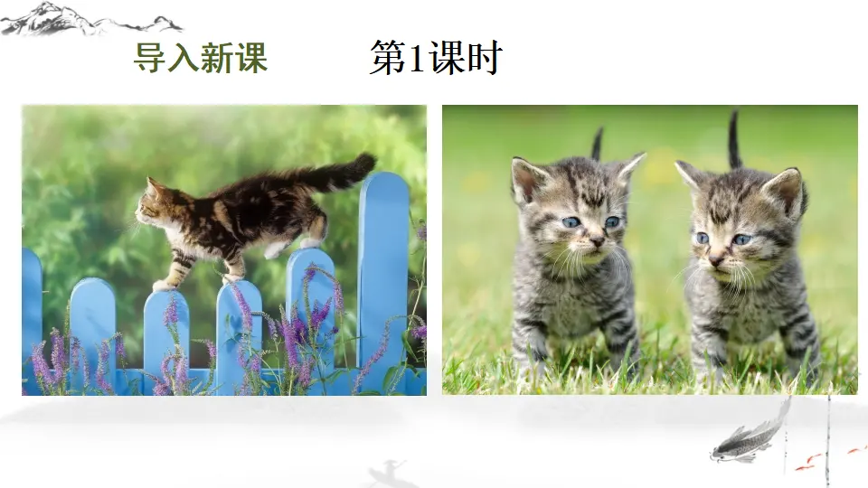 16 猫【教案匹配版】推荐❤_02.webp