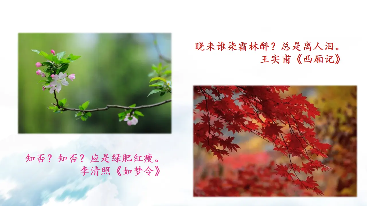 观沧海  课件_04.webp