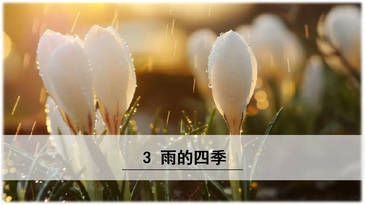 《雨的四季》 课件_02.webp