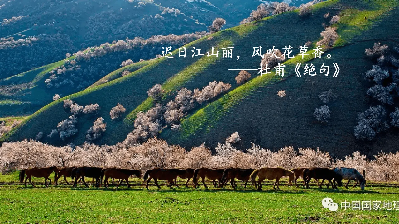 《春》 课件_02.webp