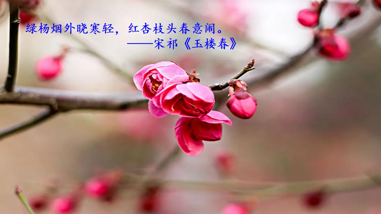 《春》 课件_04.webp