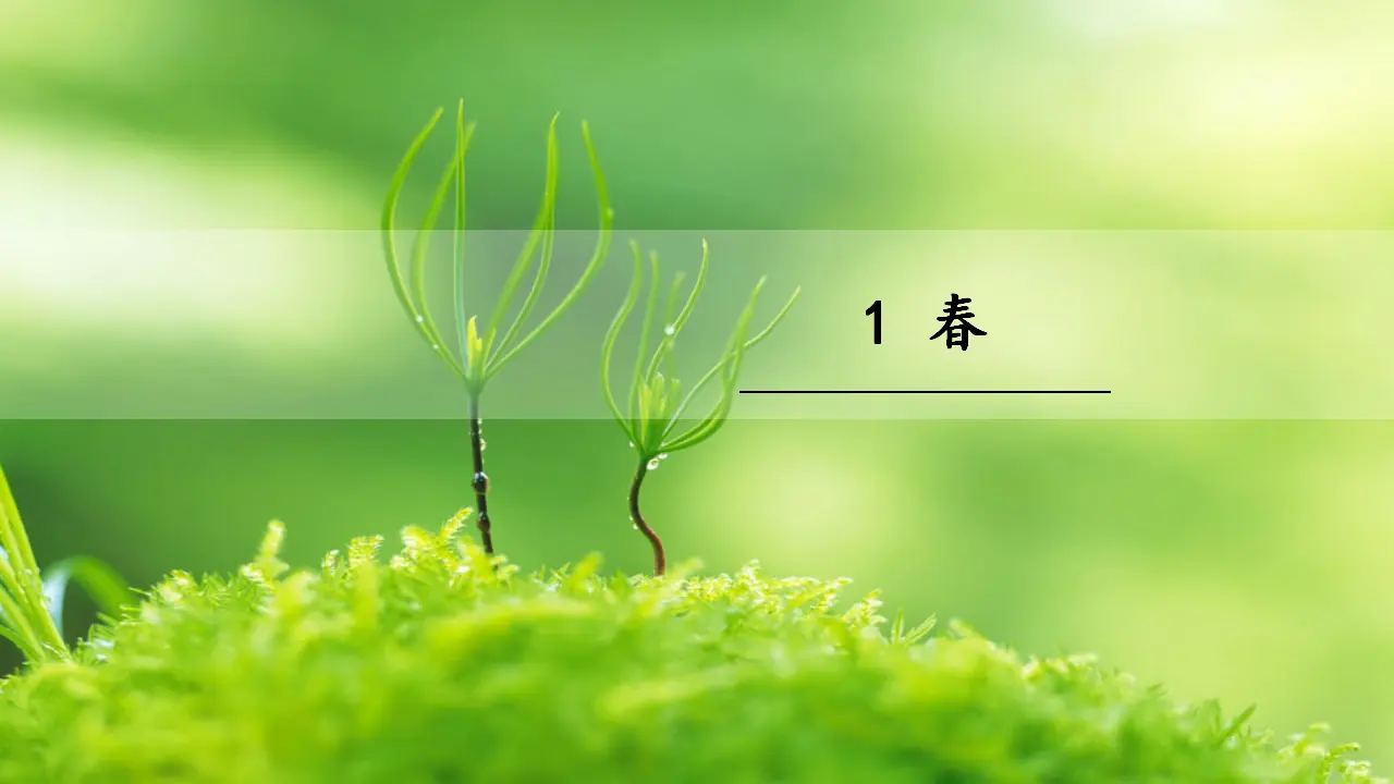 《春》 课件_05.webp