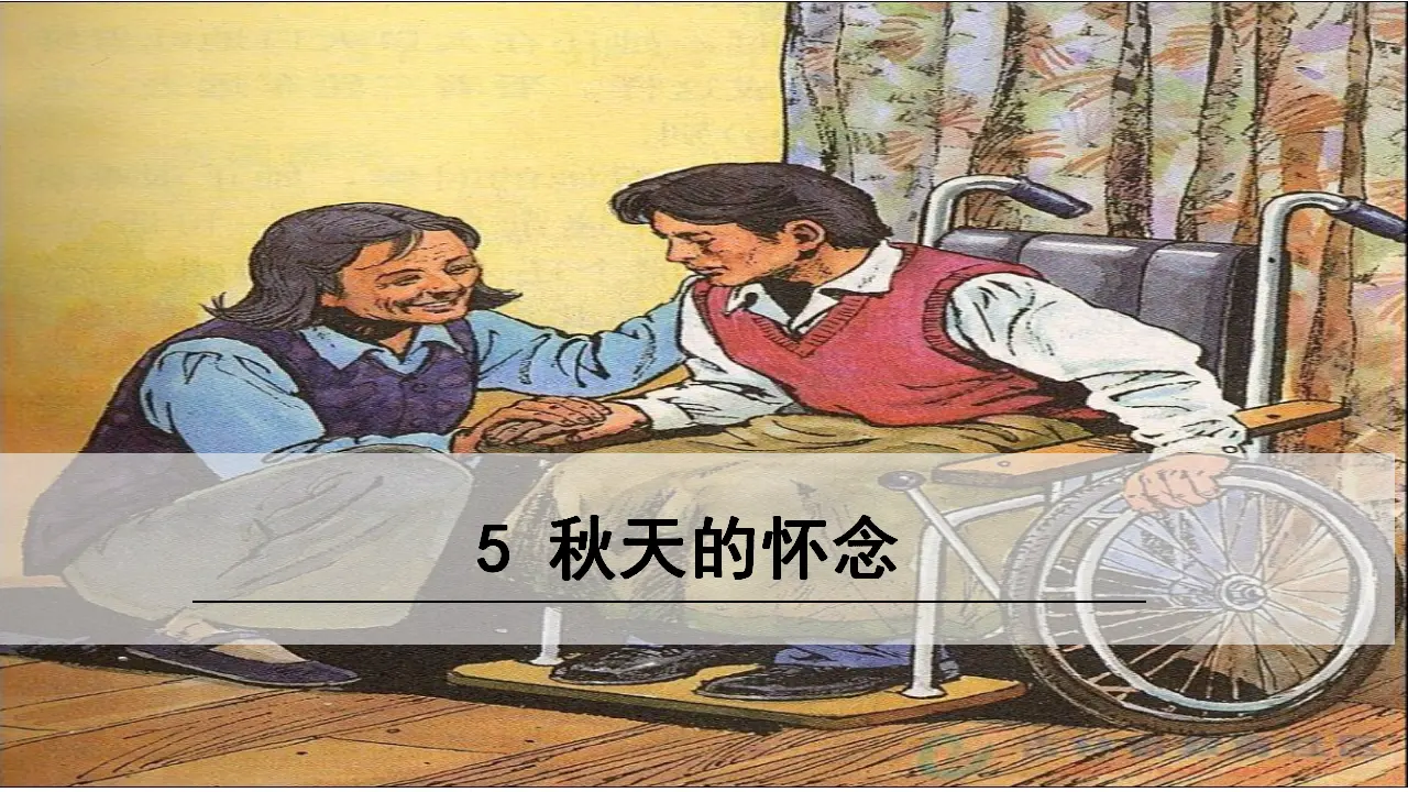 5.秋天的怀念_02.webp