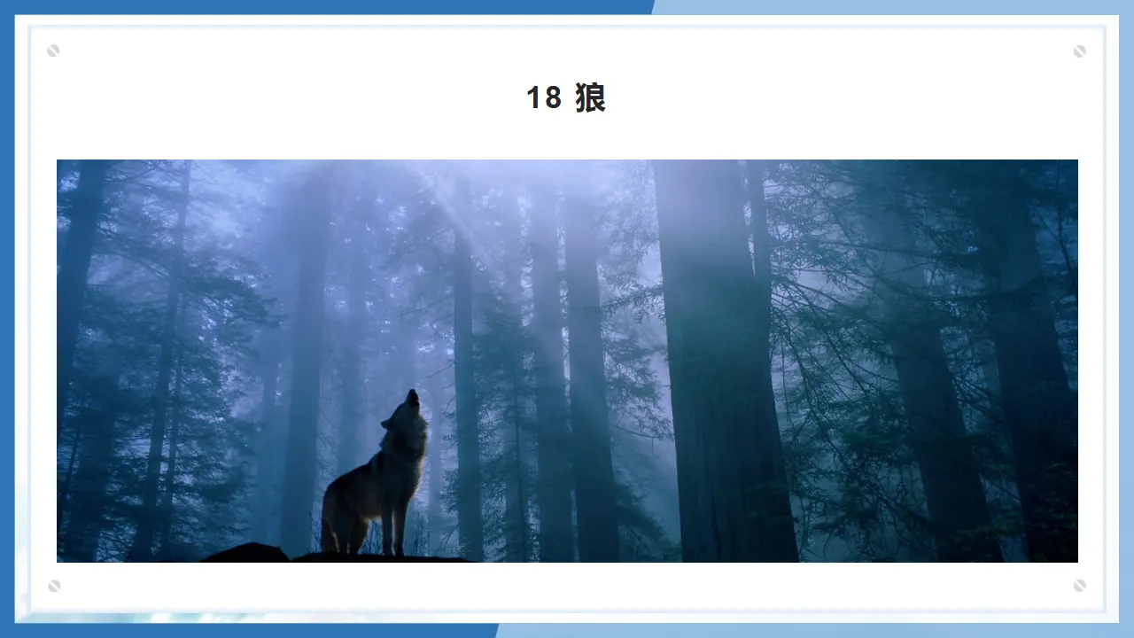 18  狼_02.webp