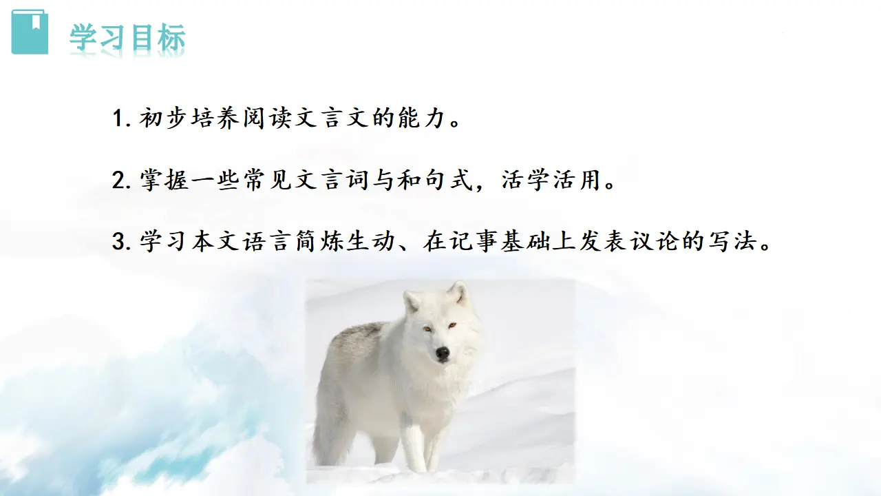 18  狼_03.webp