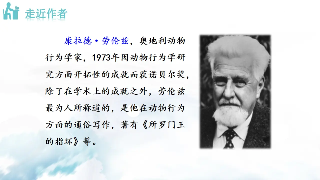 17  动物笑谈_04.webp