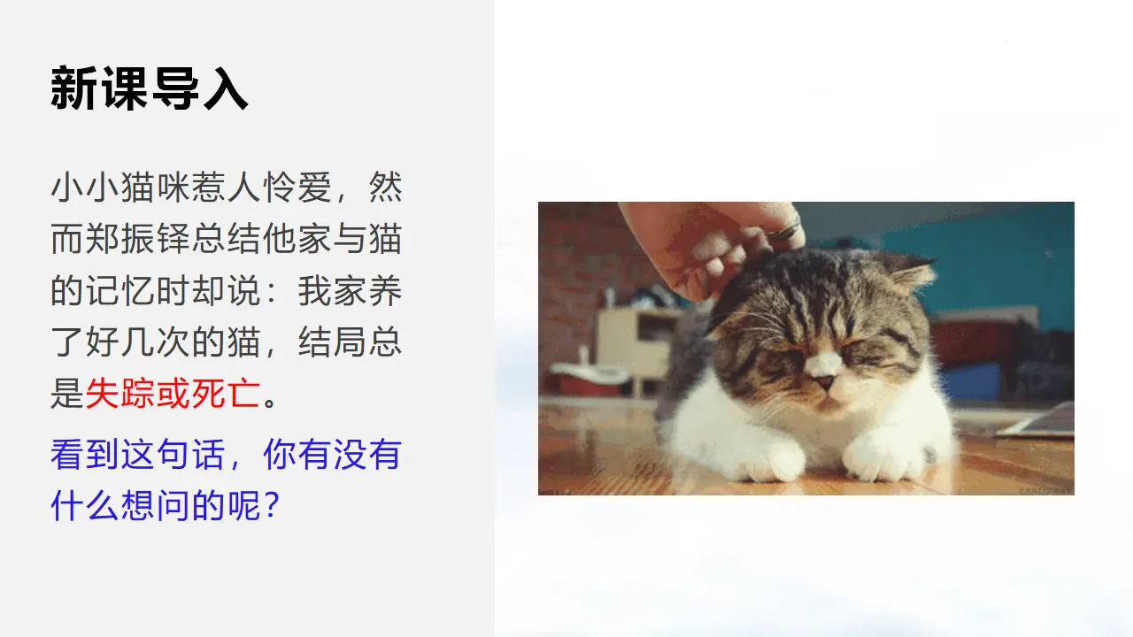 16 猫_01.webp