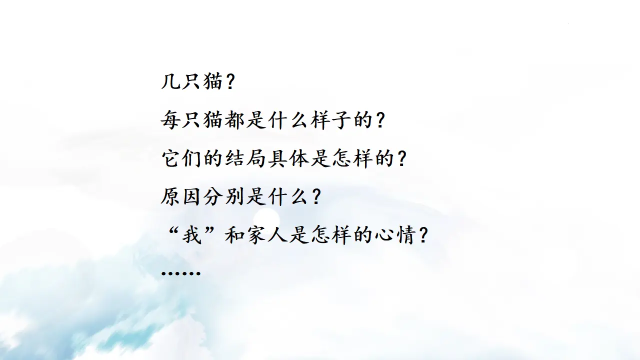 16 猫_02.webp