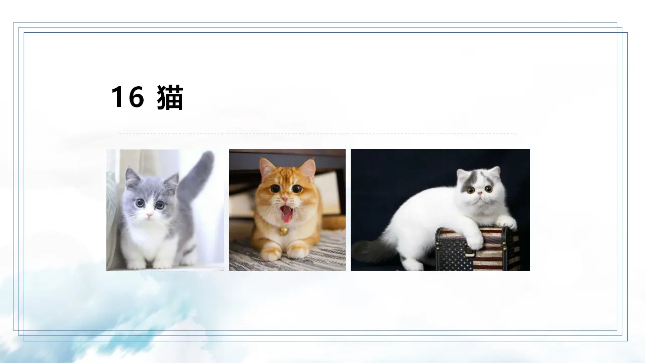 16 猫_03.webp