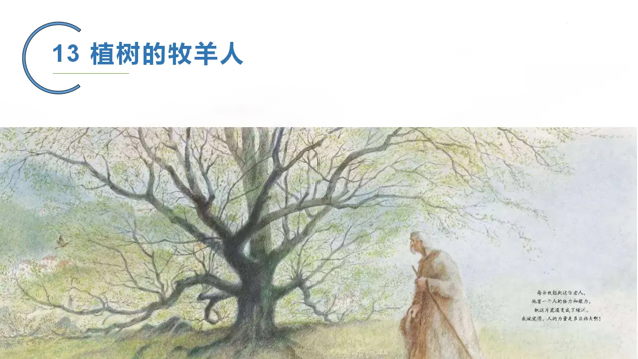 13 植物的牧羊人_02.webp