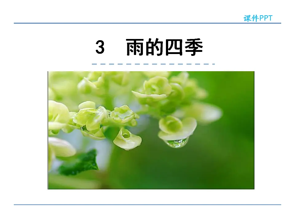 3雨的四季_01.webp