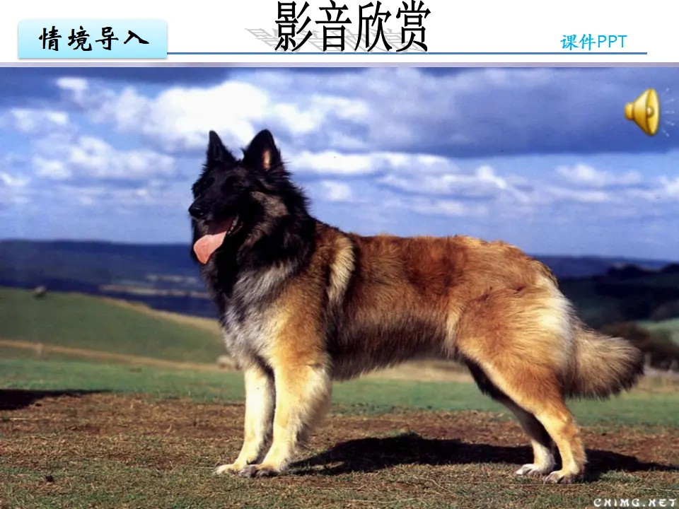 18狼第一课时_04.webp