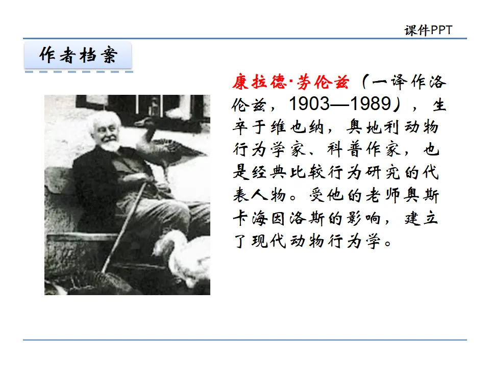 17动物笑谈_05.webp
