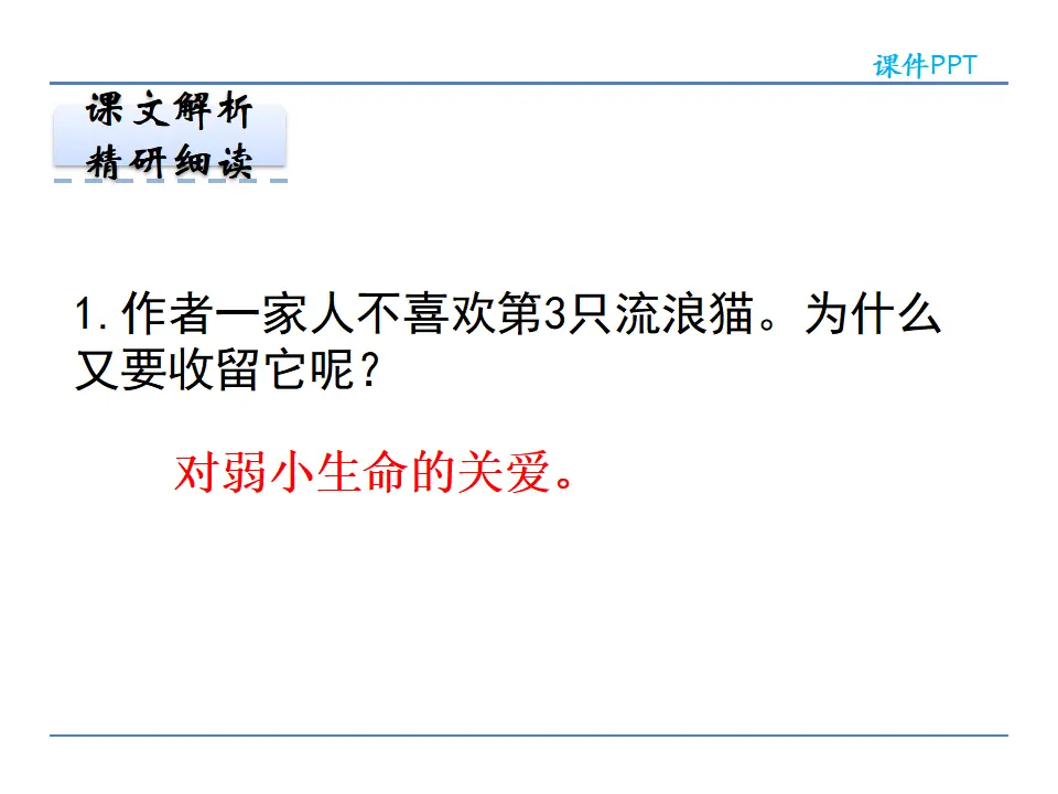 16猫第二课时_03.webp