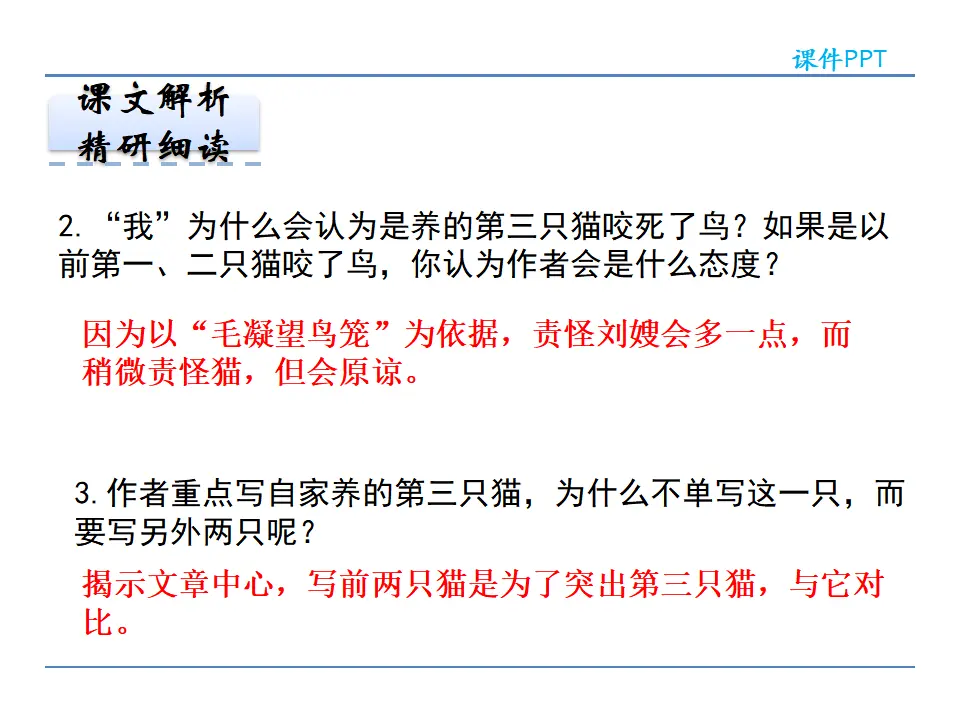16猫第二课时_04.webp