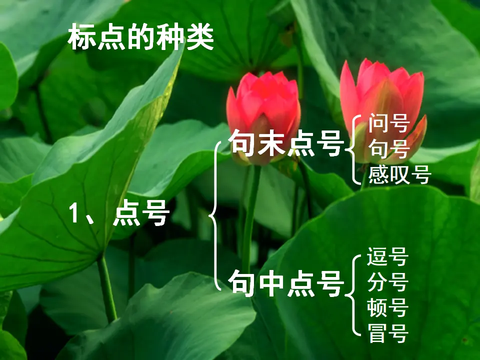 正确使用标点符号课件_03.webp