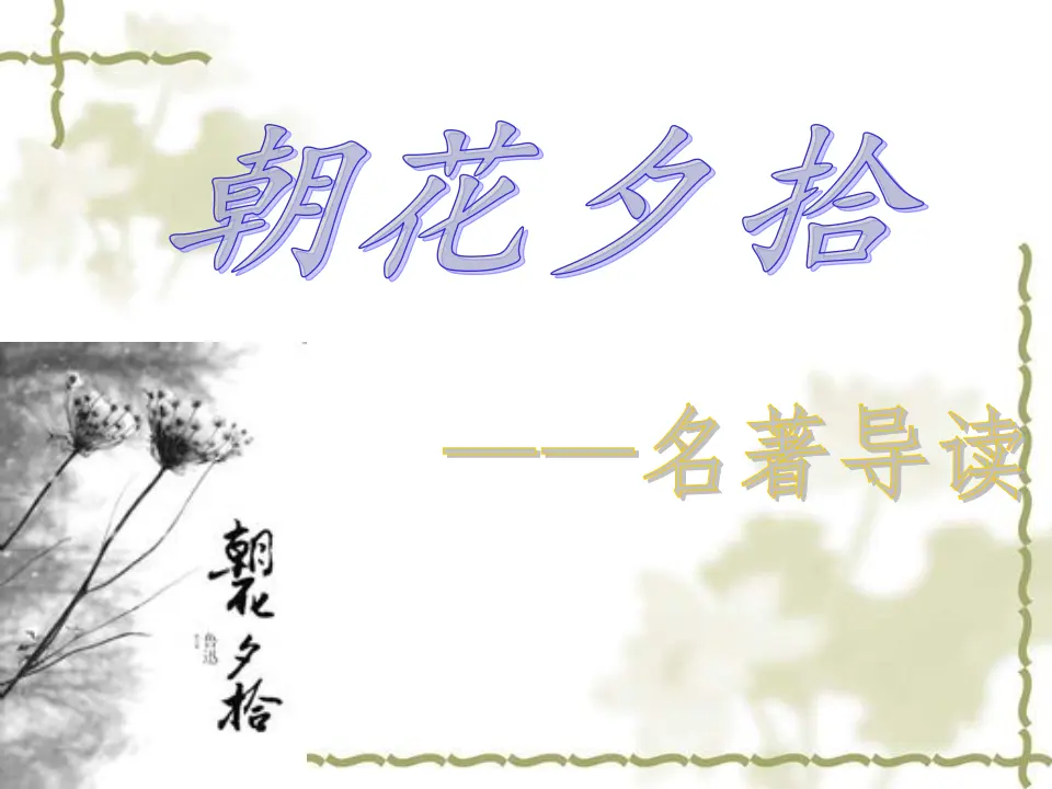 朝花夕拾1 2_01.webp