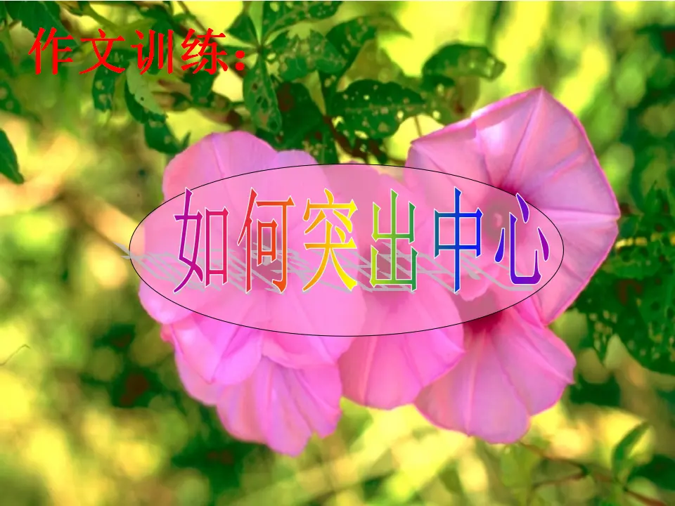 如何突出中心4_01.webp