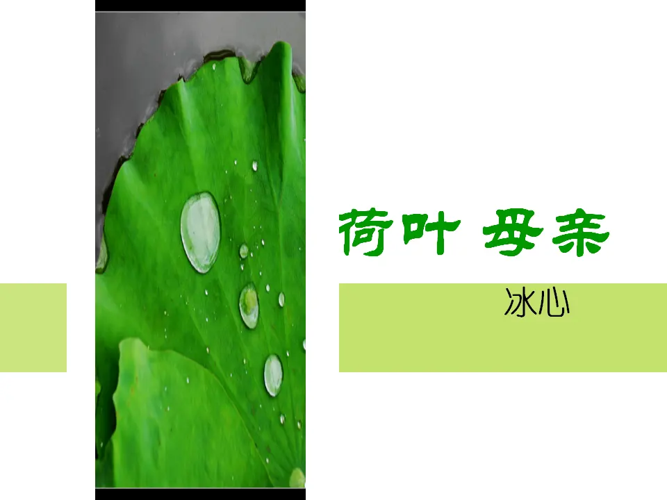 7荷叶　母亲_01.webp