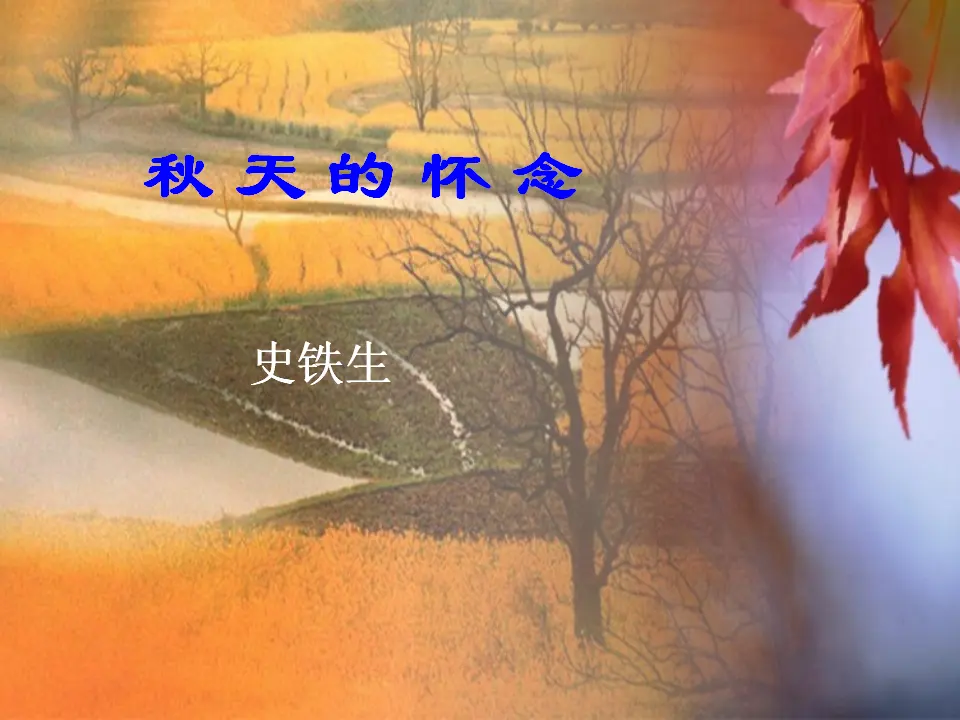 5 秋 天 的 怀 念_03.webp