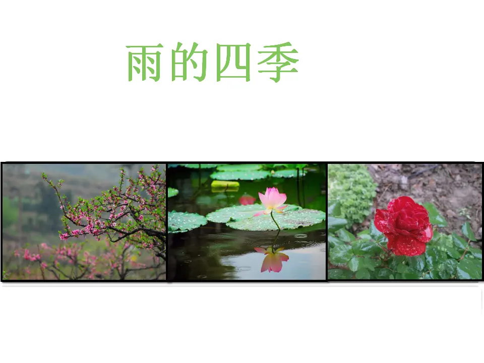 3《雨的四季》_01.webp