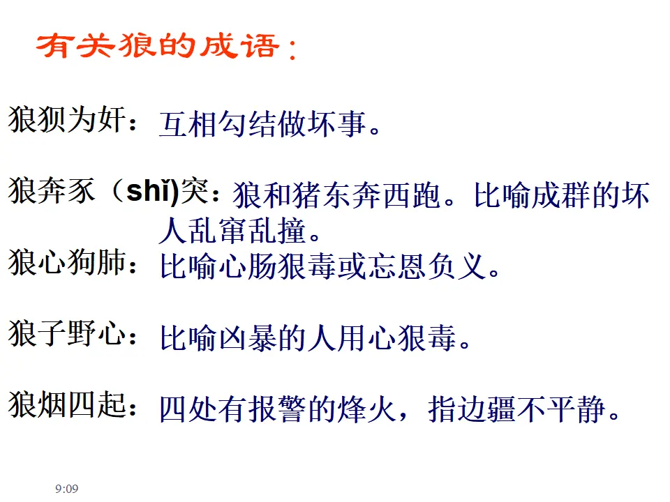 20 狼_02.webp