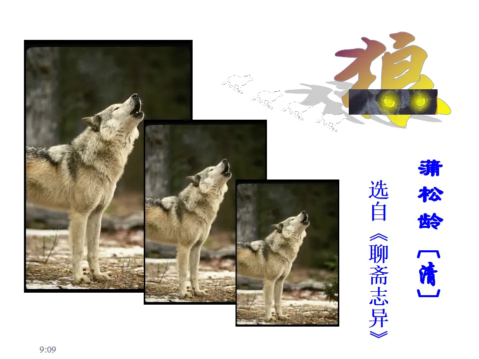 20 狼_03.webp