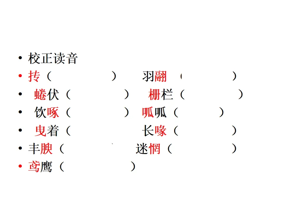 18 鸟_05.webp