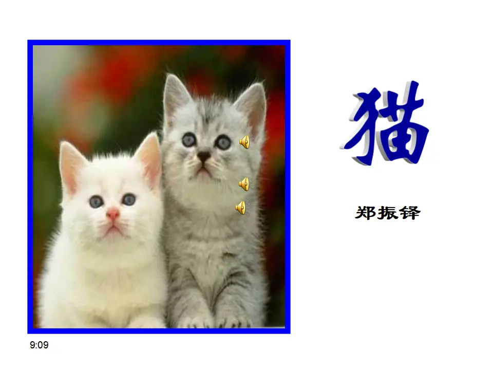 17 猫_01.webp
