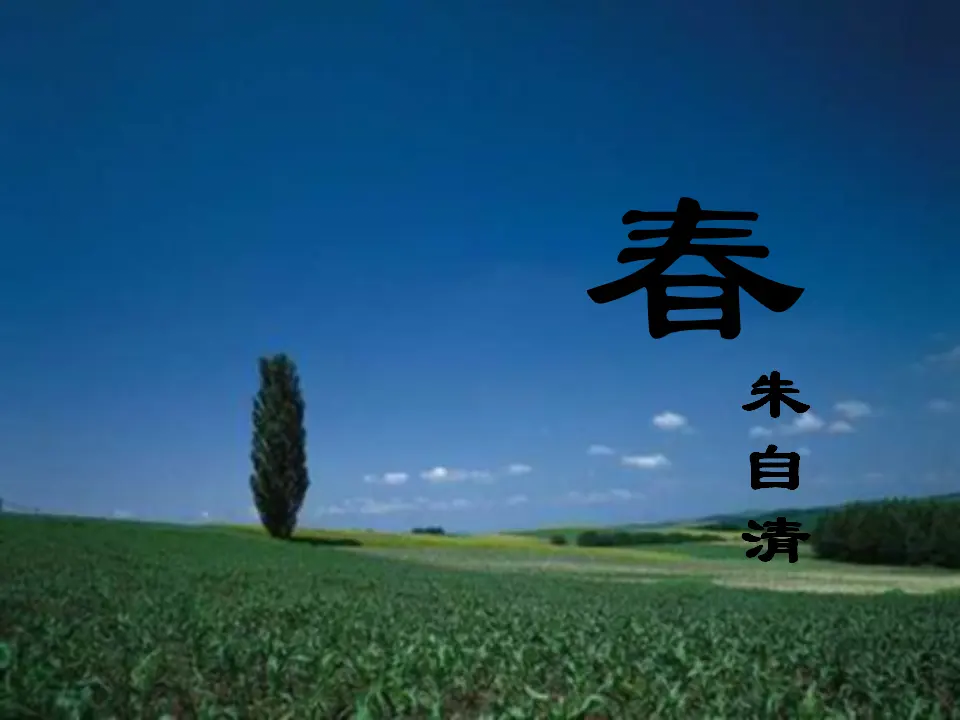 1 春_03.webp