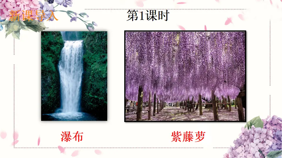 18 紫藤萝瀑布（课件1）_02.webp