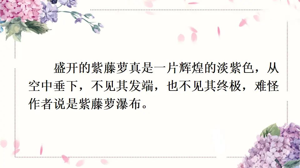 18 紫藤萝瀑布（课件1）_03.webp